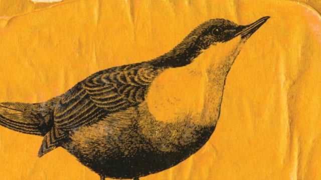 Iridescent Image Transfer: Golden A-Z Set