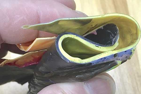 Rolling Acrylic Paintings for Shipping and Storage